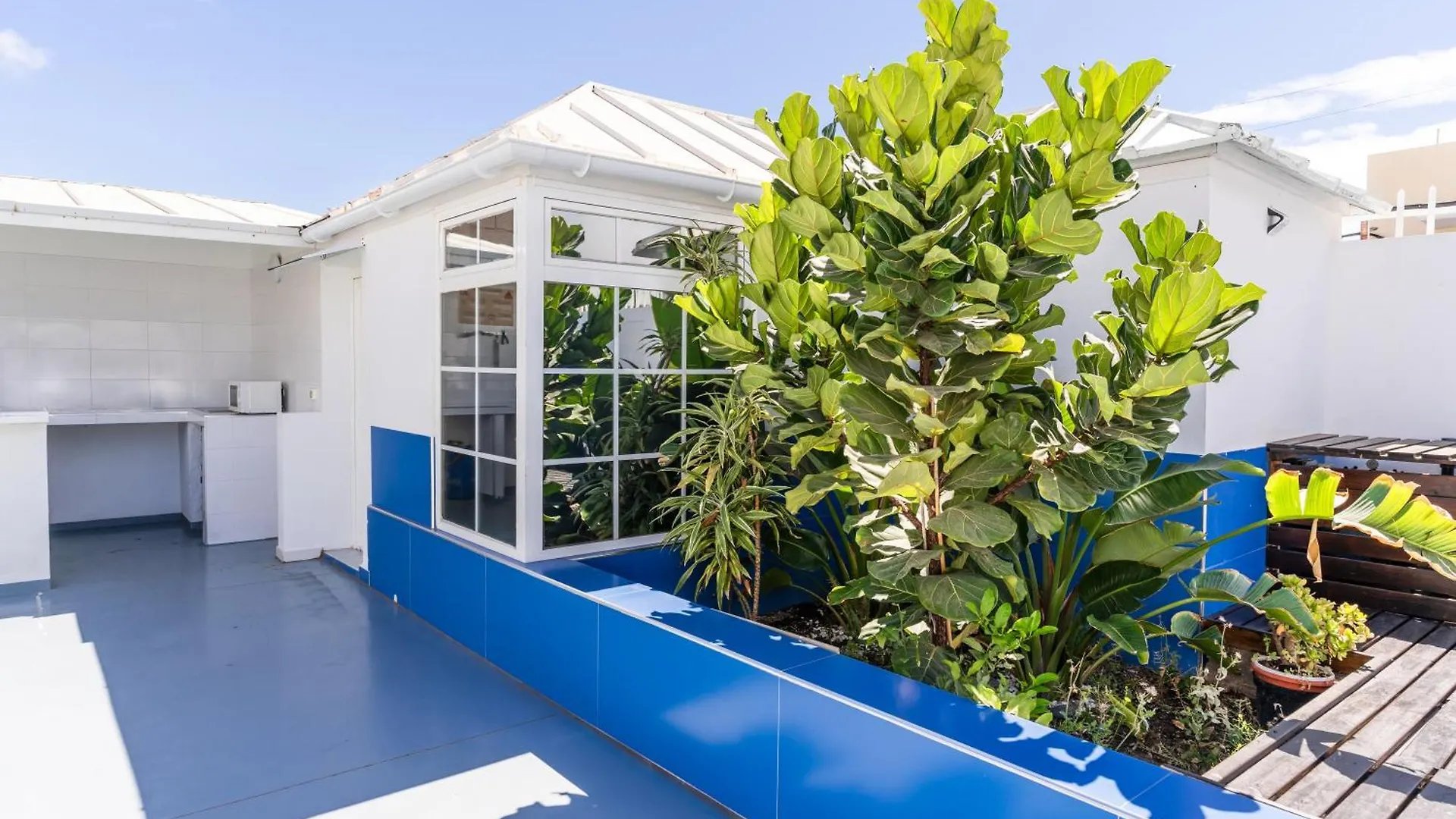 Guest House Villa Neon Tenerife Arona   Arona (Tenerife)